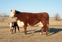 GRANDVIEW CMR MIS P606 X395 ET